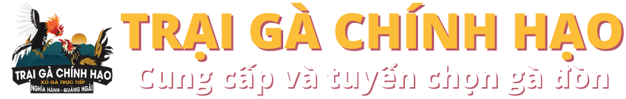 Trại Gà Chính Hạo